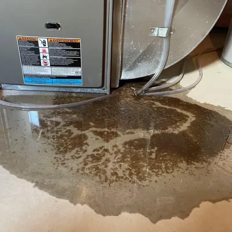 Appliance Leak Cleanup in Fairview, PA